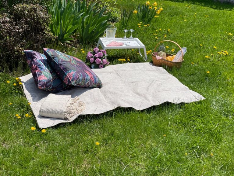 traditional picnic