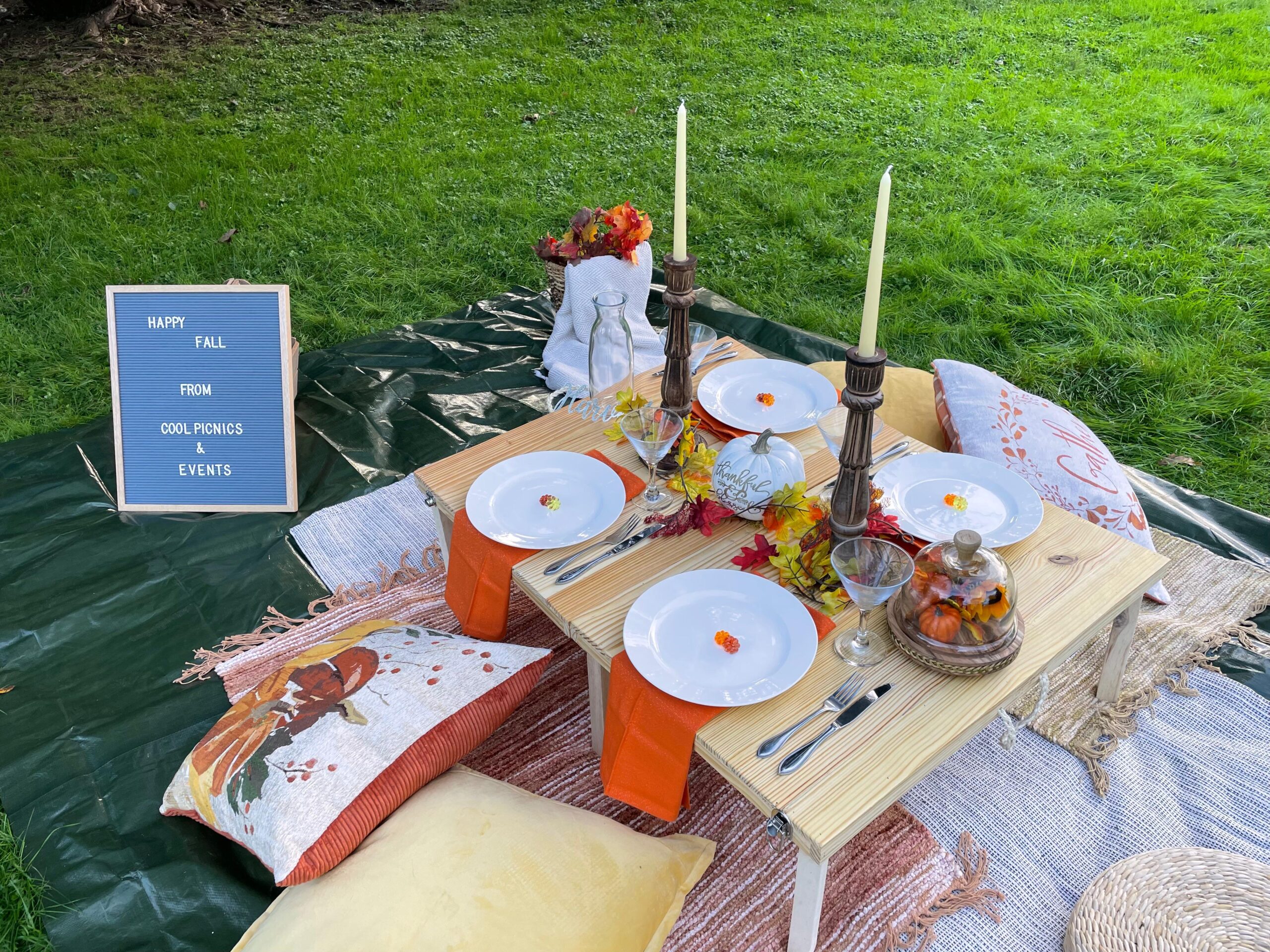 Picnic fall